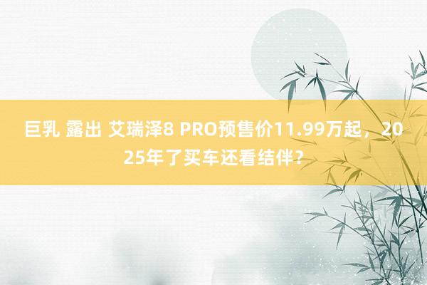 巨乳 露出 艾瑞泽8 PRO预售价11.99万起，2025年了买车还看结伴？