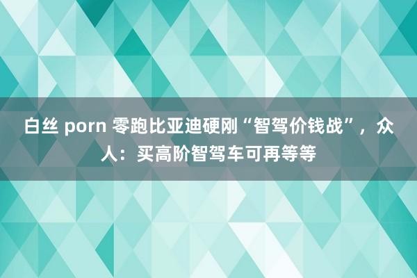白丝 porn 零跑比亚迪硬刚“智驾价钱战”，众人：买高阶智驾车可再等等