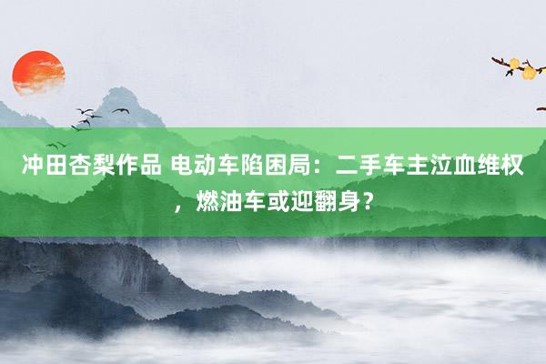冲田杏梨作品 电动车陷困局：二手车主泣血维权，燃油车或迎翻身？