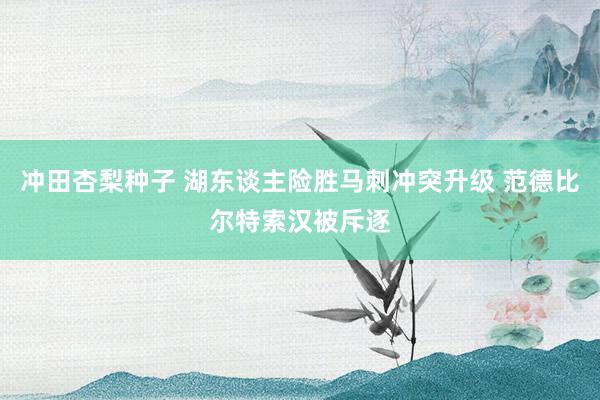 冲田杏梨种子 湖东谈主险胜马刺冲突升级 范德比尔特索汉被斥逐