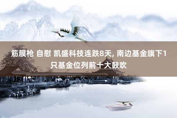 筋膜枪 自慰 凯盛科技连跌8天, 南边基金旗下1只基金位列前十大鼓吹